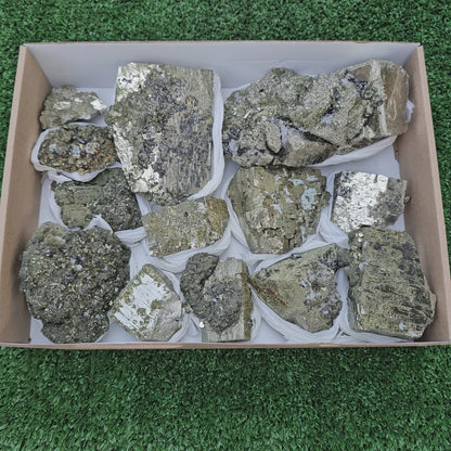 13 pc Pyrite Cubic with chalcopyrite