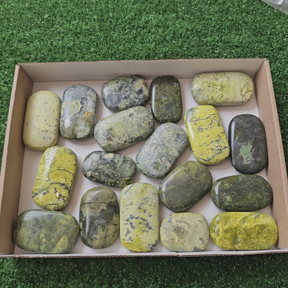 18 pc green serpentine palms