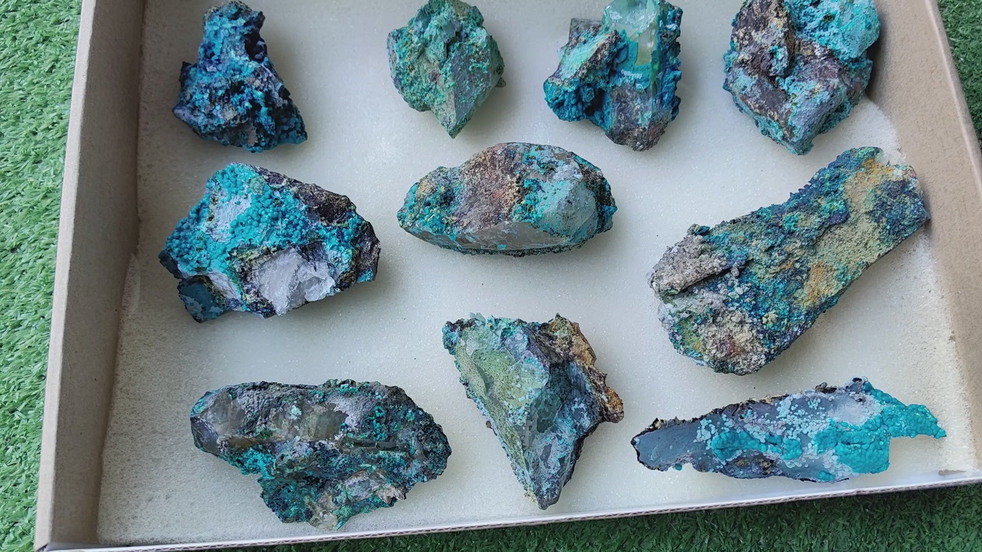 Load video: Lot 10 Chrysocolla on Quartz