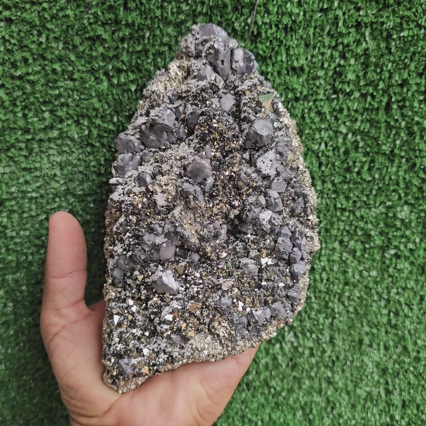 Load video: Galena Crystals on Octahedral Pyrite