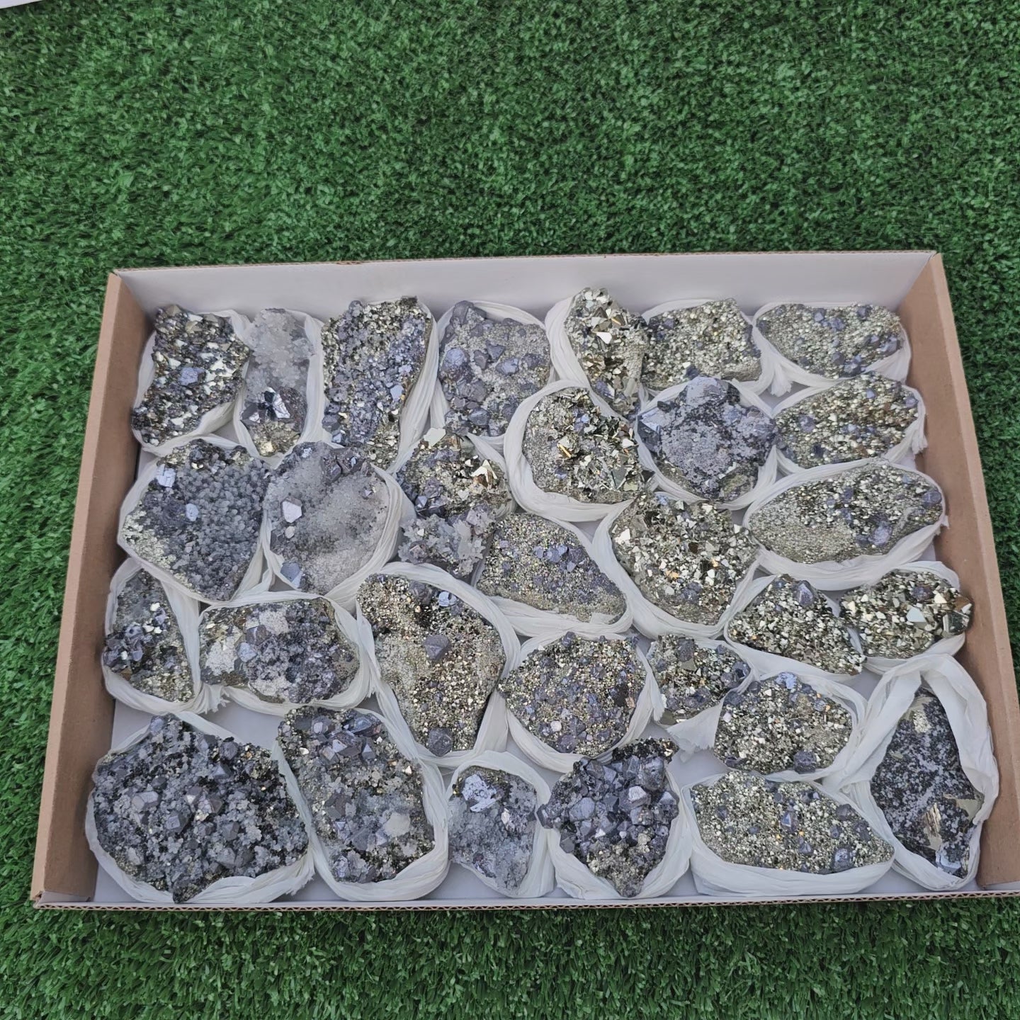 Load video: 30 pc Galena crystals on octahedral pyrite
