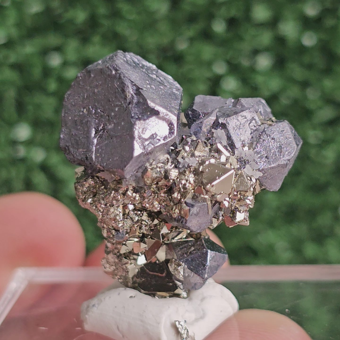 Load video: Galena with Pyrite octahedral