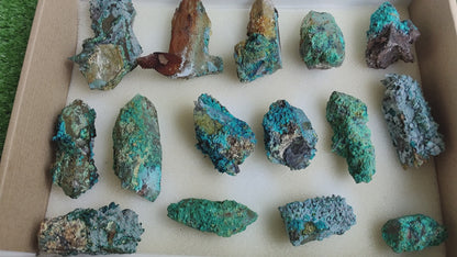 Lot 15 Chrysocolla on Quartz