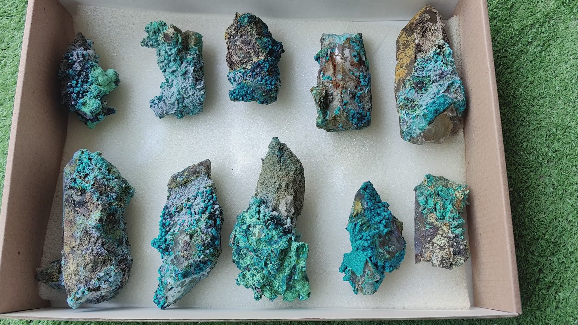 Load video: Lot 10 Chrysocolla on Quartz