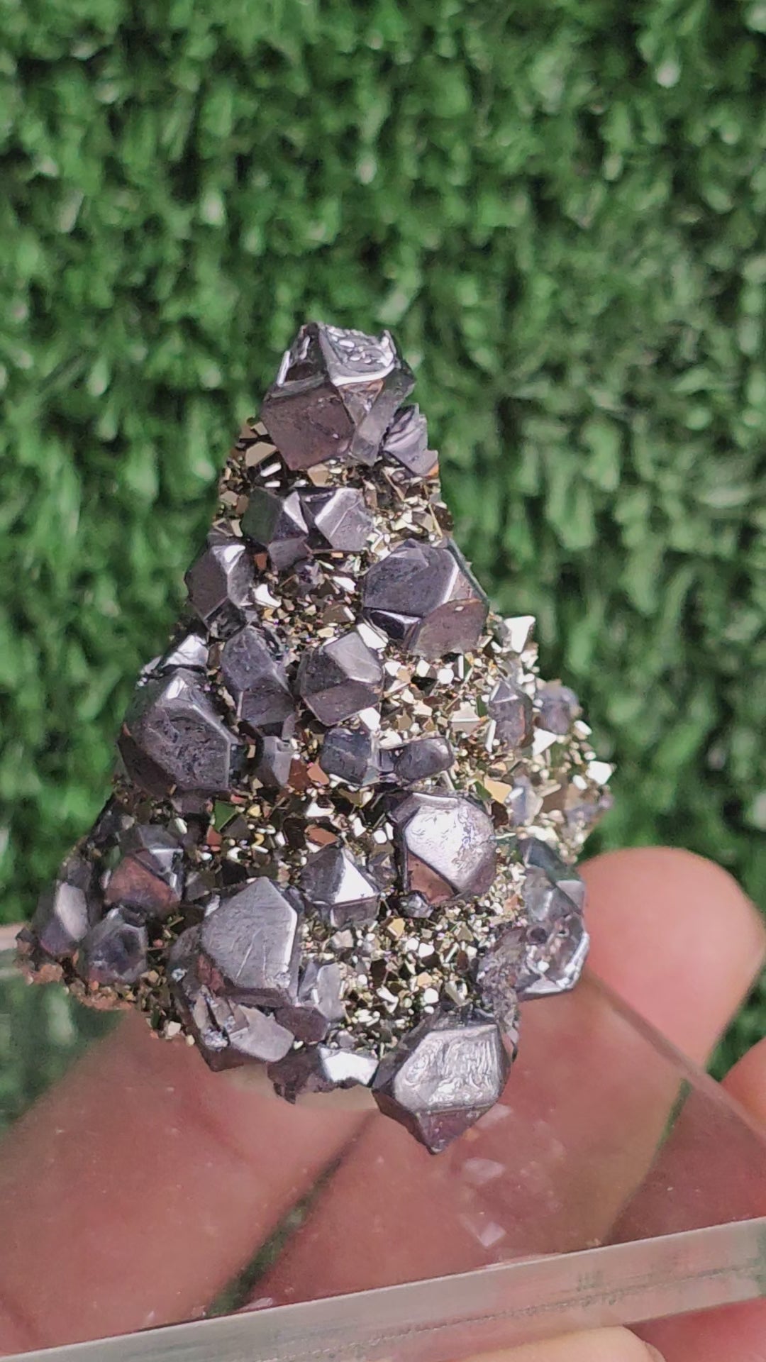 Load video: Galena with Pyrite octahedral
