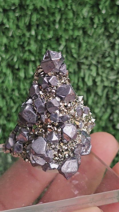 Galena with Pyrite octahedral