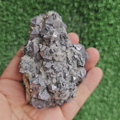 Galena Crystals on Octahedral Pyrite