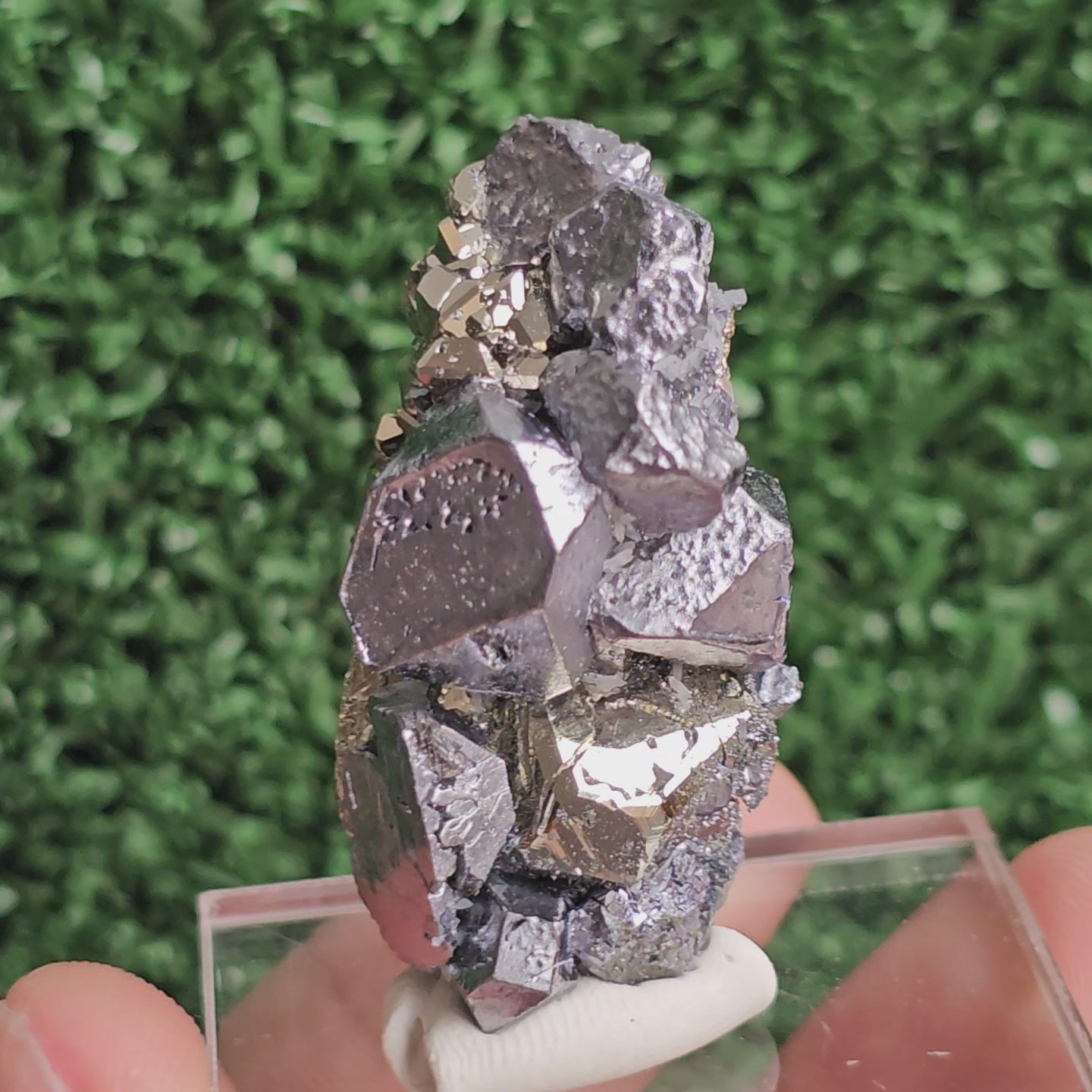 Load video: Galena with Pyrite octahedral