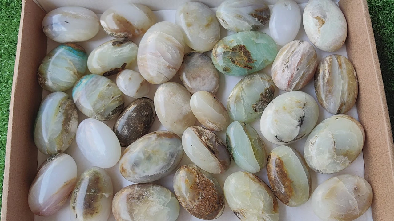Load video: 33 pc blue opal palms