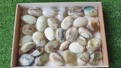 31 pc blue opal palms