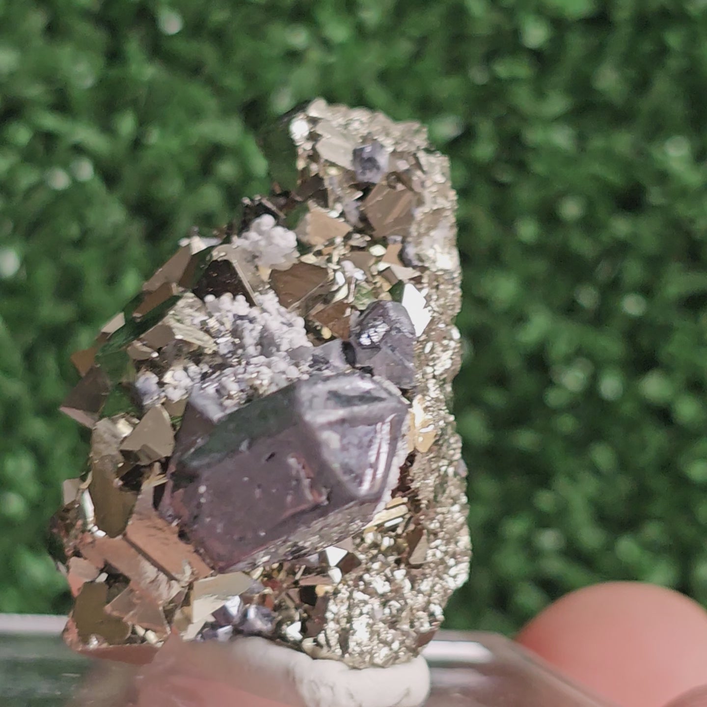 Load video: Galena with Pyrite octahedral