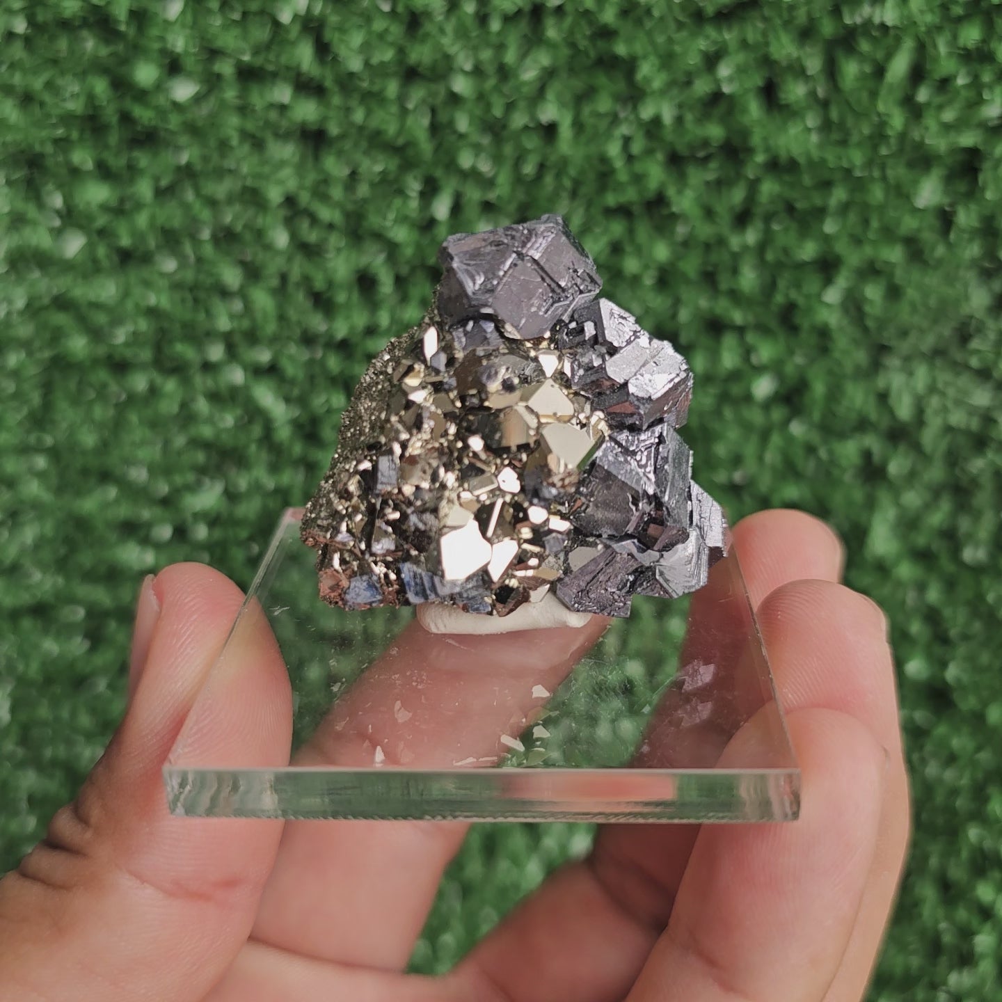 Load video: crystallized galena with Pyrite octahedral
