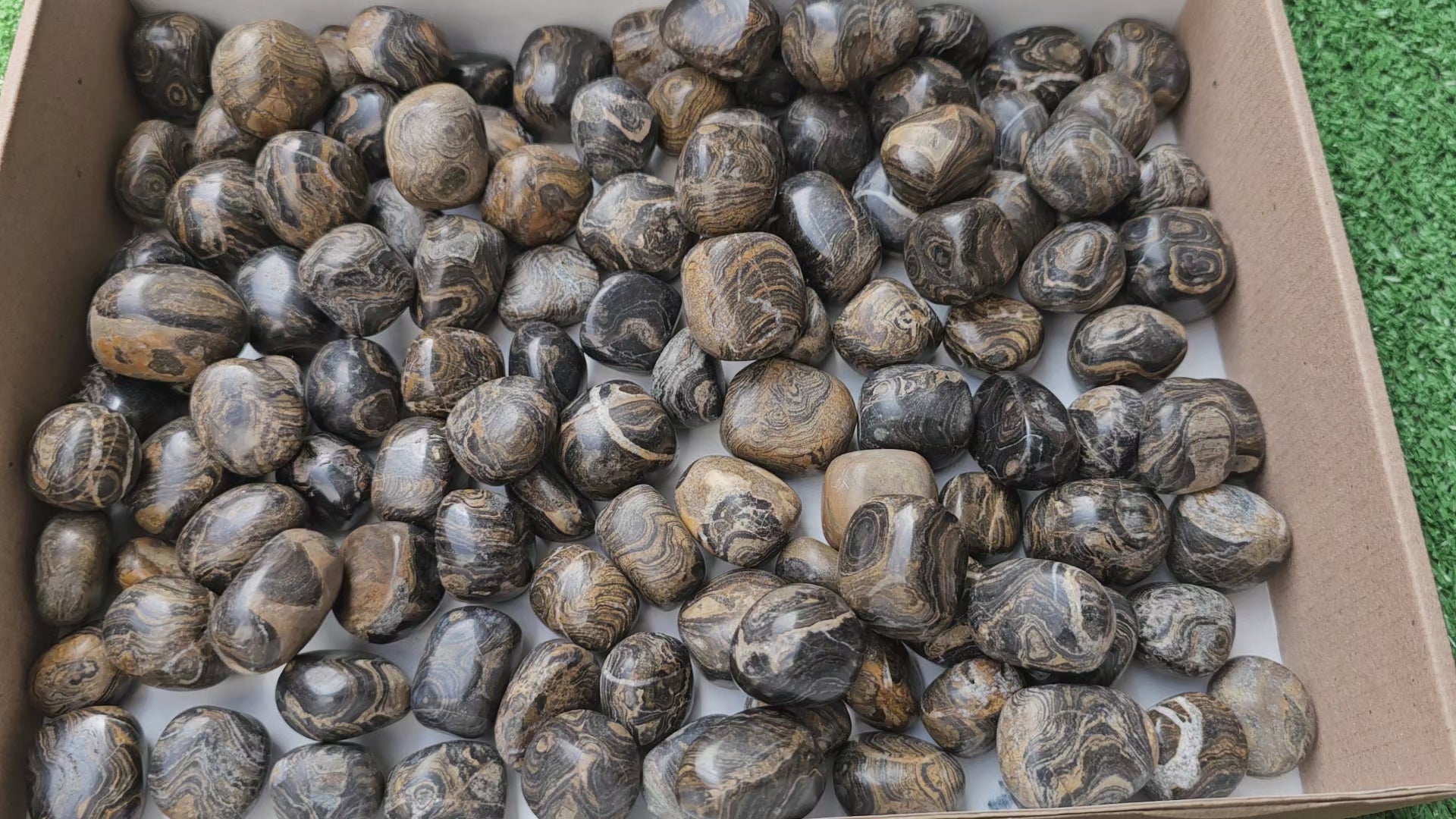 Load video: Lot 2.5 kg Tumbled Stromatolite