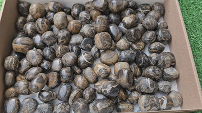 Lot 2.5 kg Tumbled Stromatolite