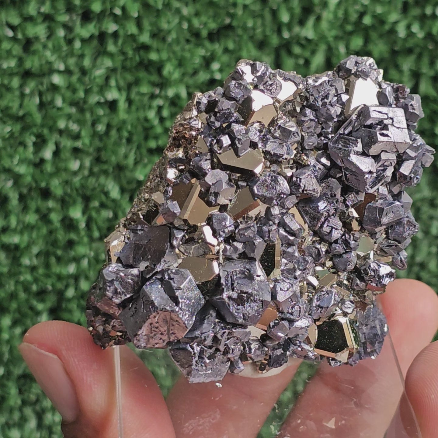 Load video: crystallized galena with Pyrite octahedral