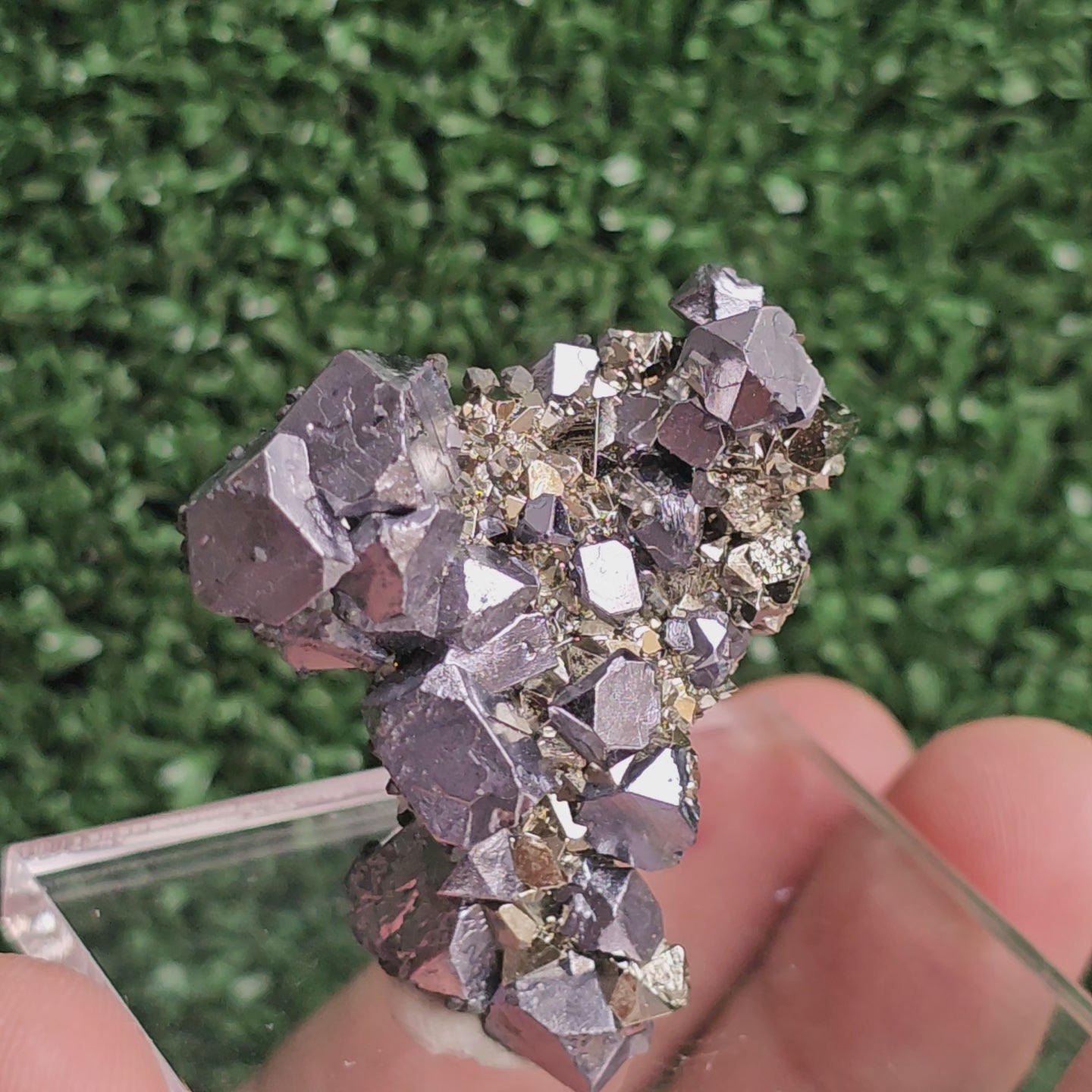 Load video: Galena with Pyrite octahedral