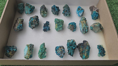 Lot 21 Chrysocolla on Quartz