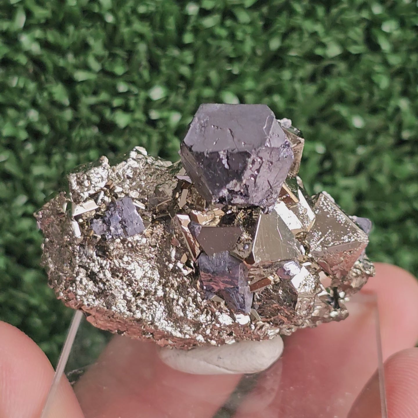 Load video: Galena with Pyrite octahedral