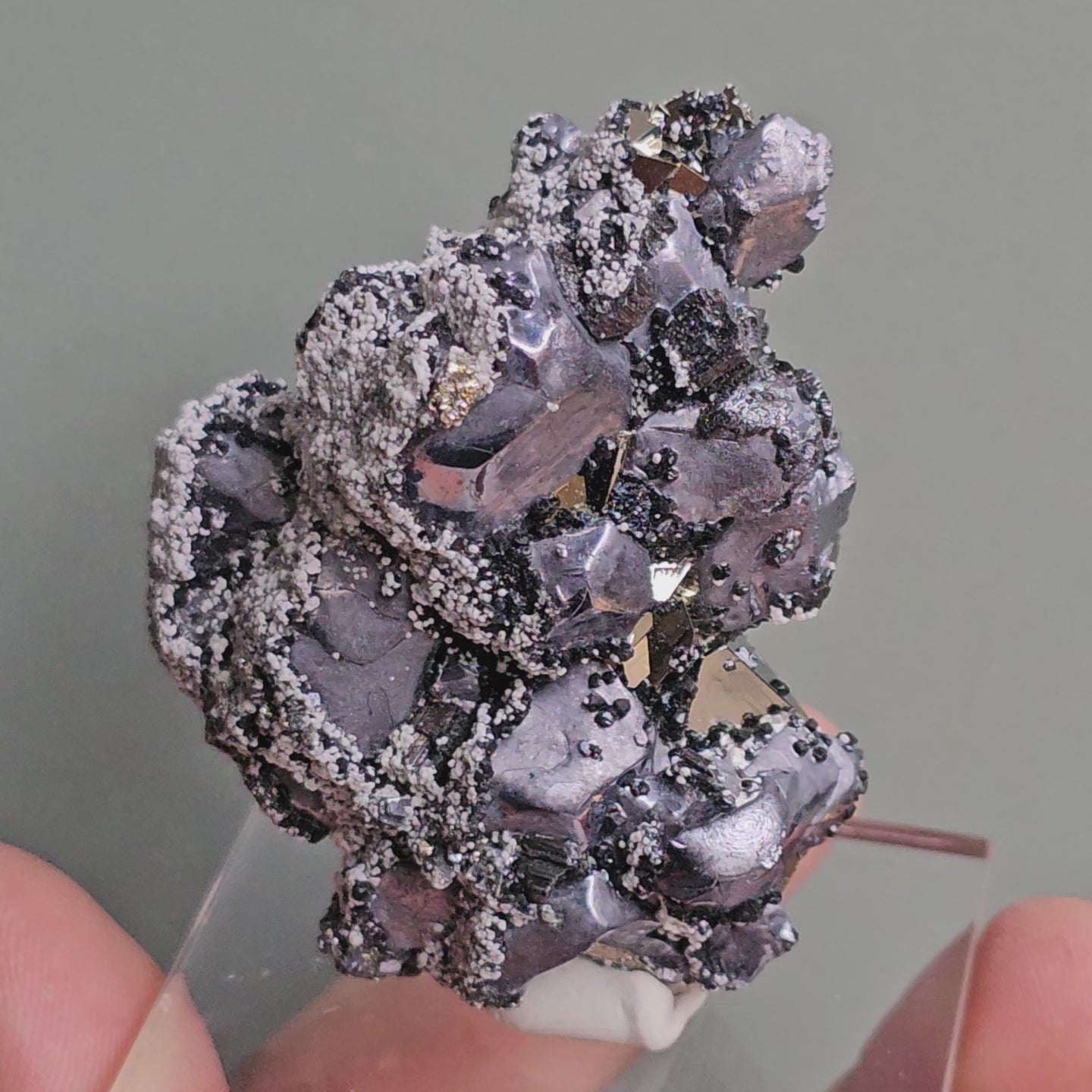 Load video: Galena with Pyrite octahedral