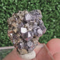 Galena with Pyrite octahedral