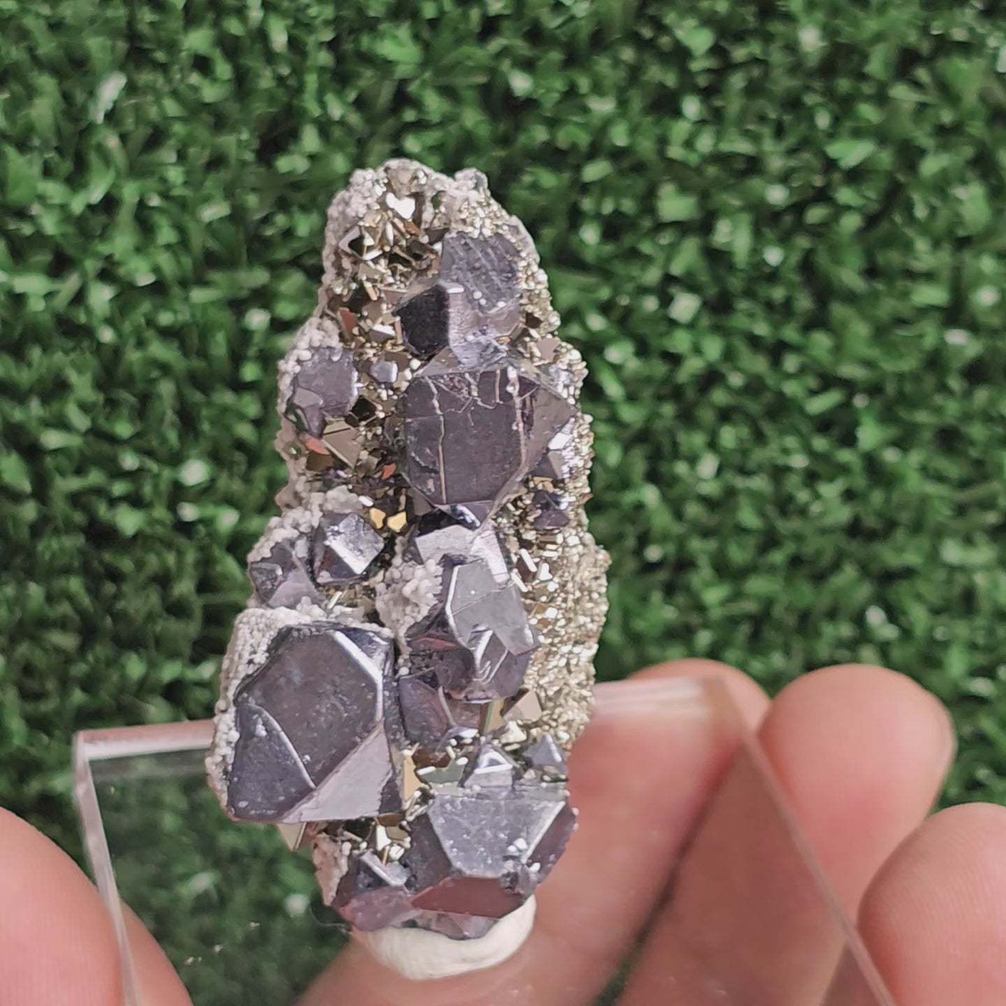Load video: Galena with Pyrite octahedral