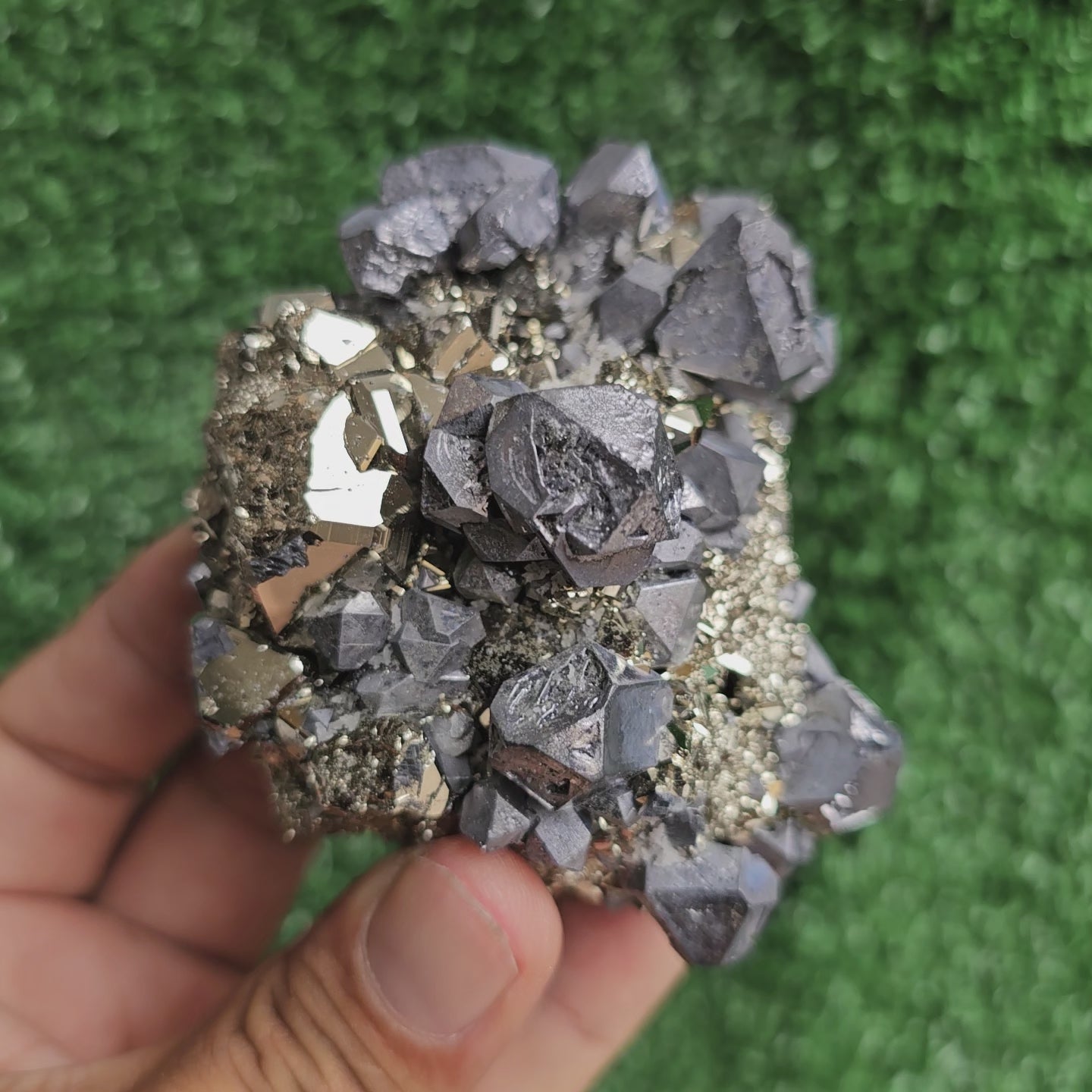 Load video: Galena Crystals on Octahedral Pyrite