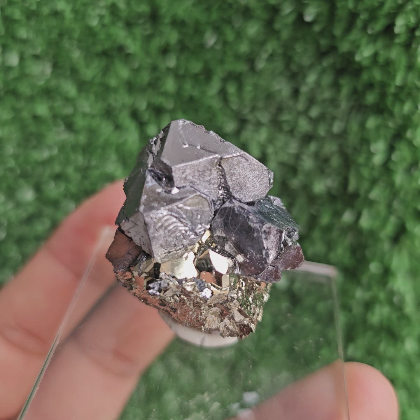 Load video: Galena with Pyrite octahedral