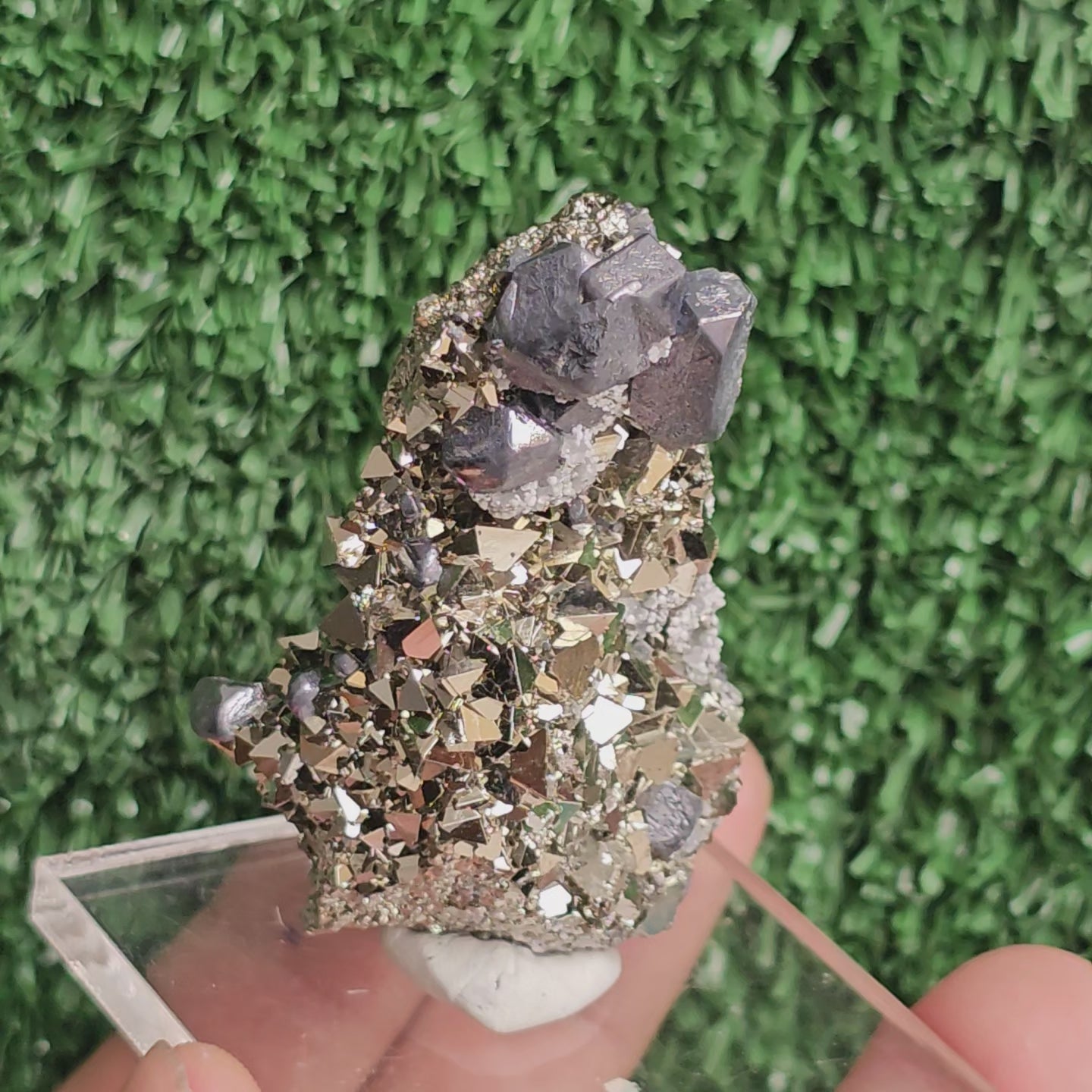 Load video: crystallized galena with Pyrite octahedral