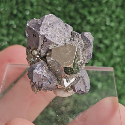 Galena with Pyrite octahedral