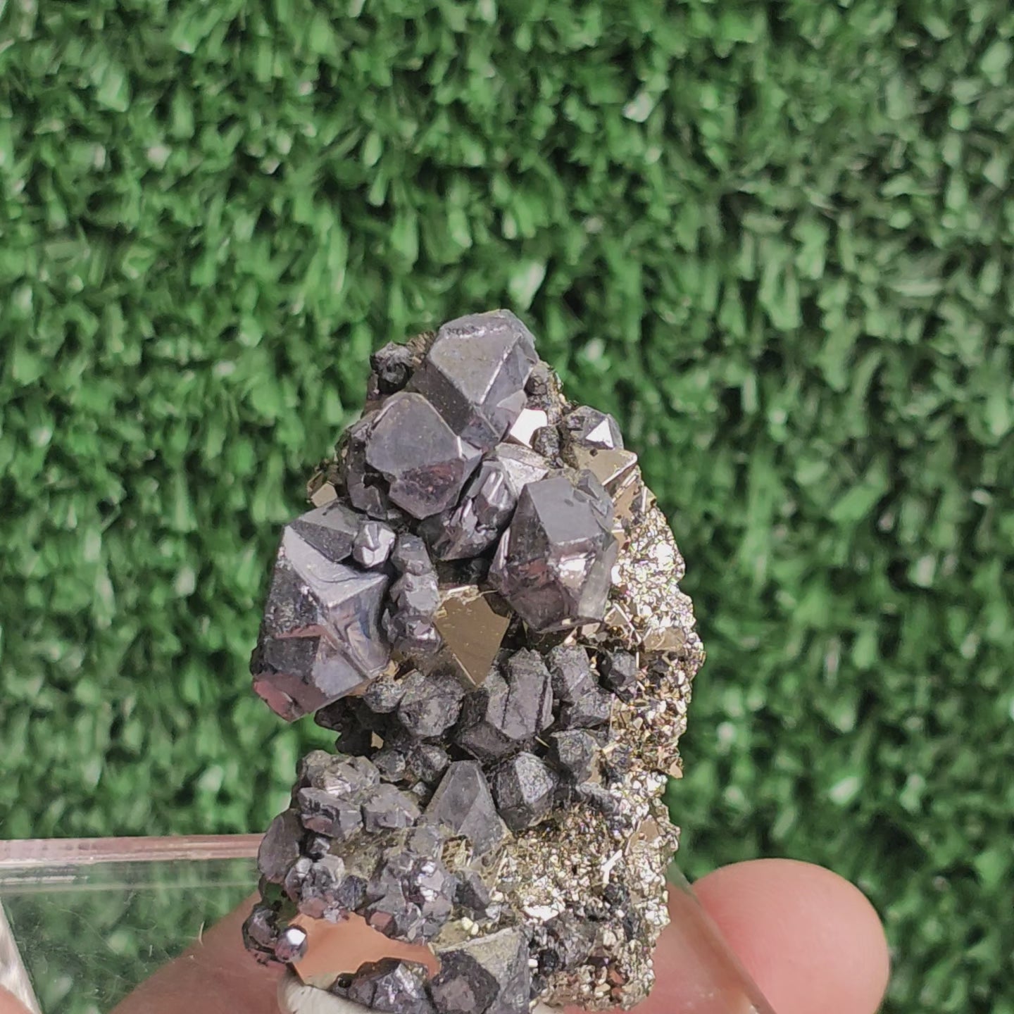 Load video: crystallized galena with Pyrite octahedral