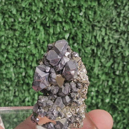 crystallized galena with Pyrite octahedral