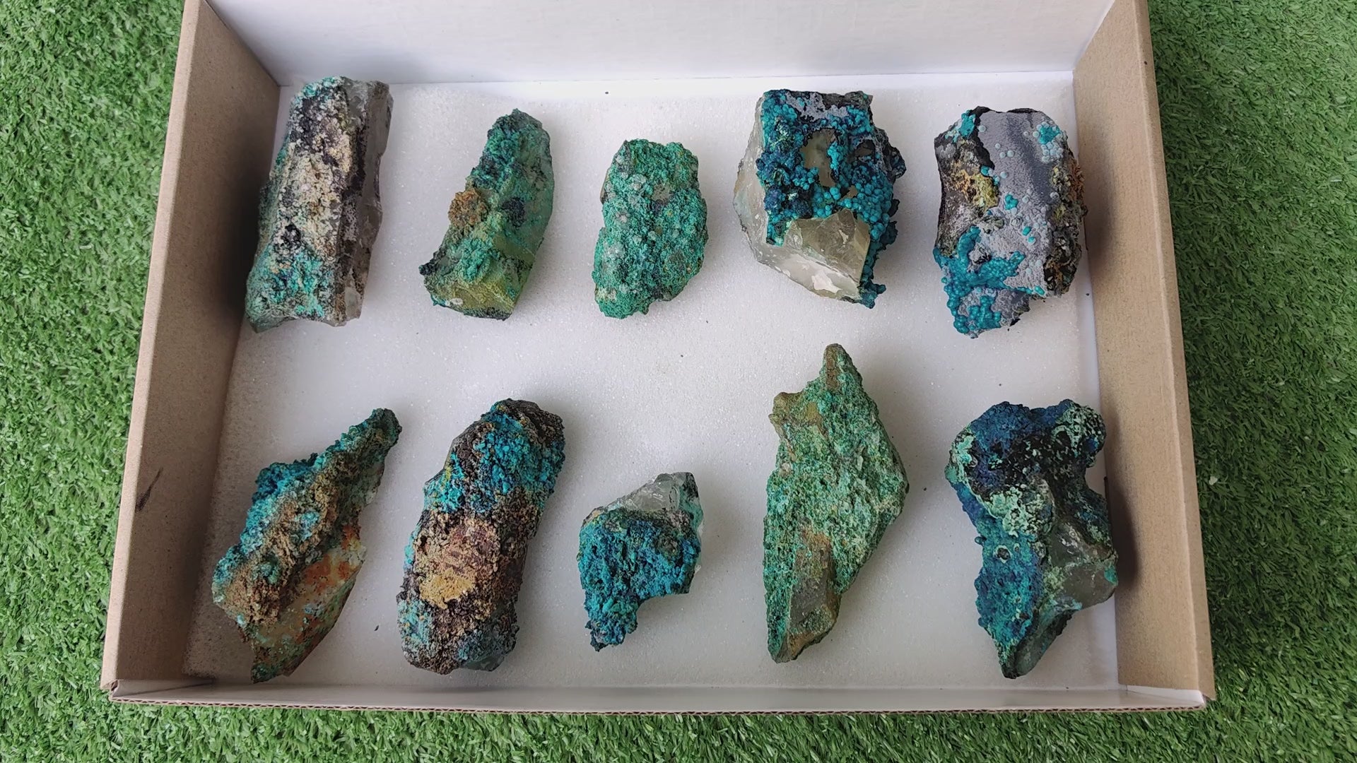 Load video: Lot 10 Chrysocolla on Quartz