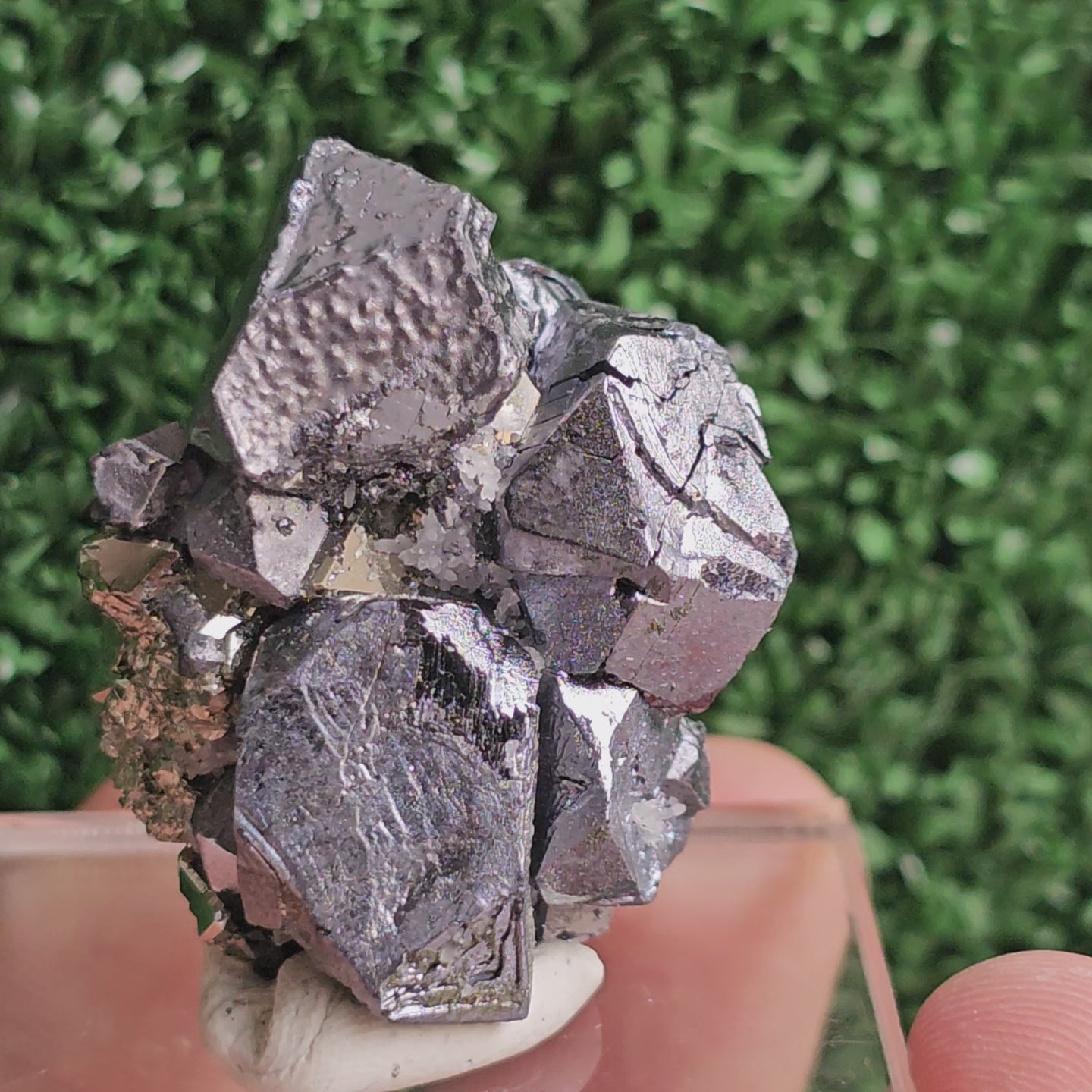 Load video: Galena with Pyrite octahedral