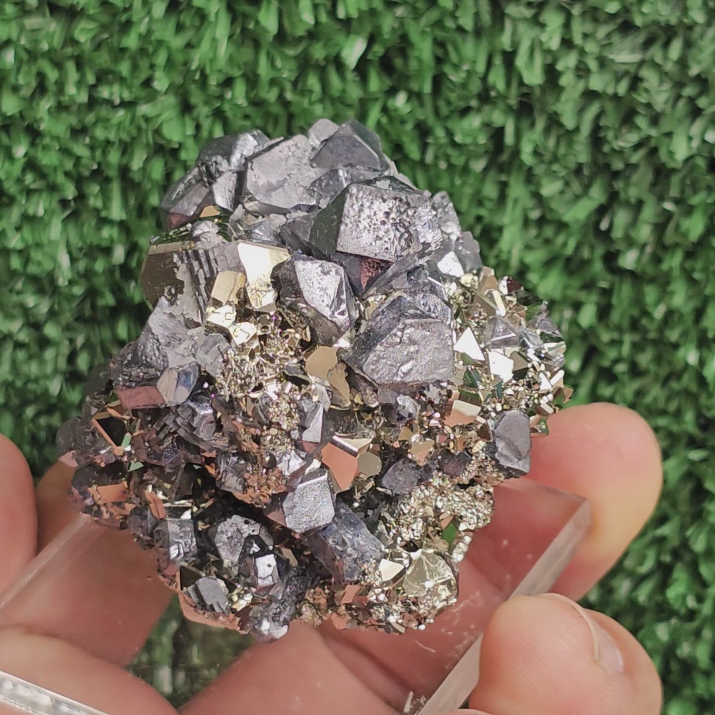 Load video: crystallized galena with Pyrite octahedral