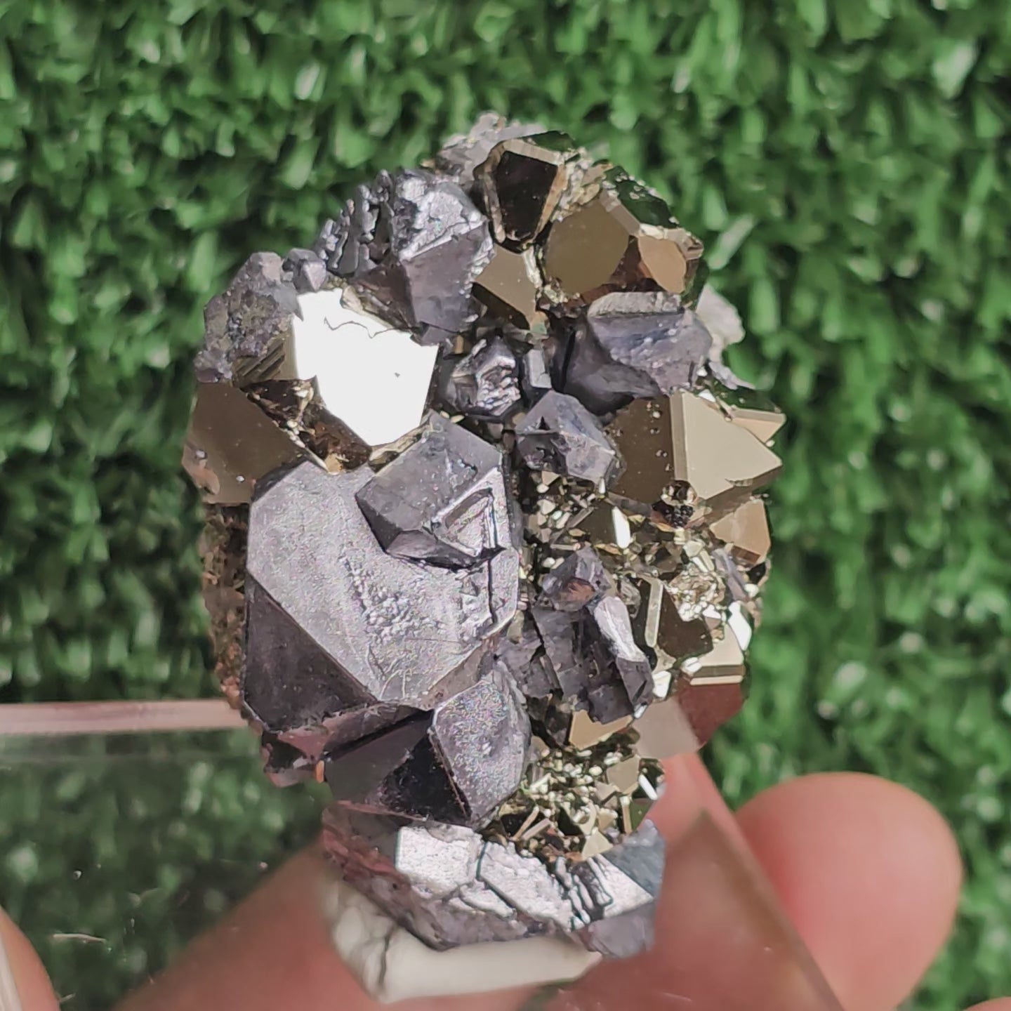 Load video: crystallized galena with Pyrite octahedral