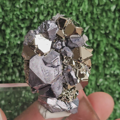 crystallized galena with Pyrite octahedral