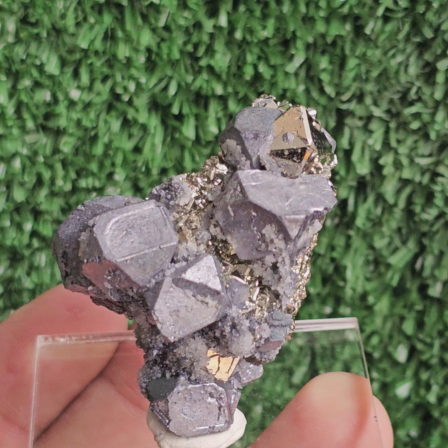 Load video: Galena with Pyrite octahedral
