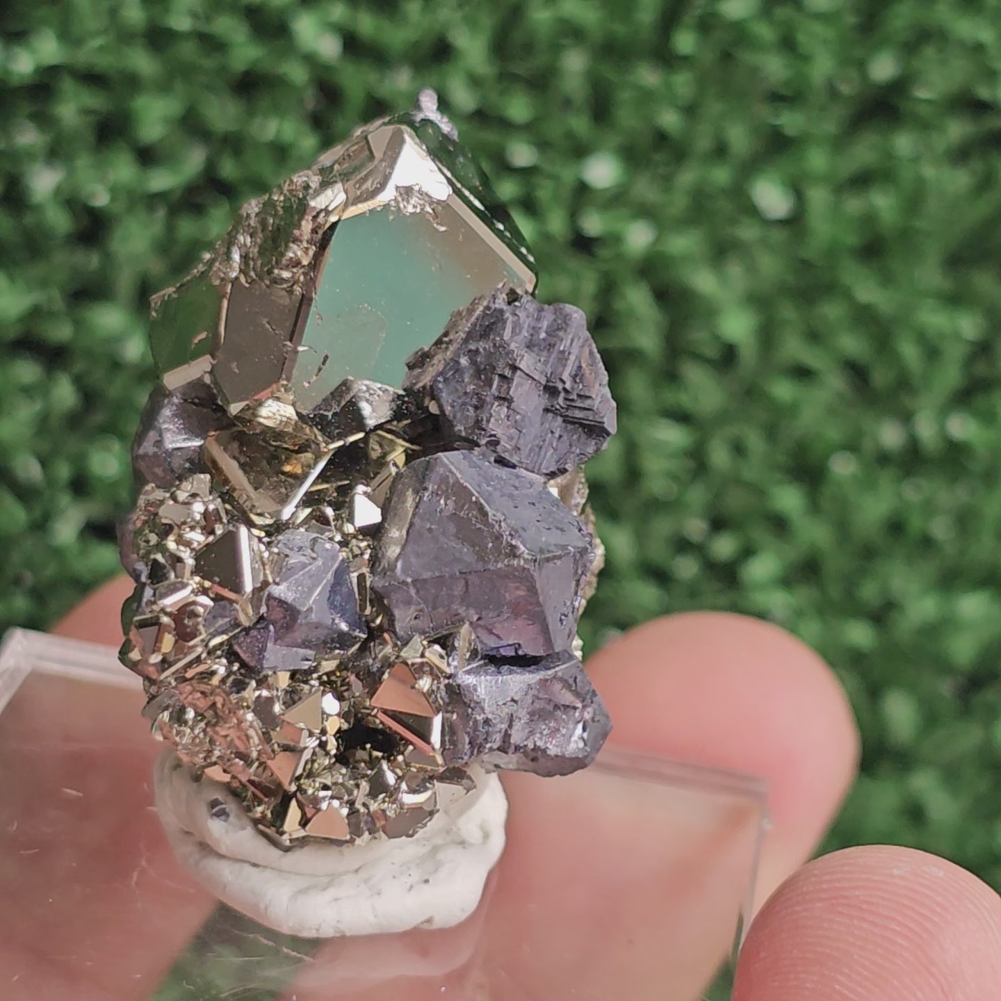 Load video: Galena with Pyrite octahedral