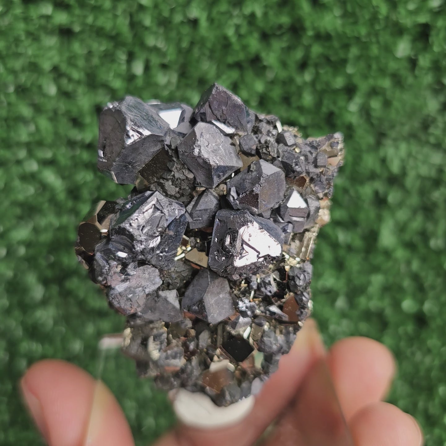 Load video: crystallized galena with Pyrite octahedral