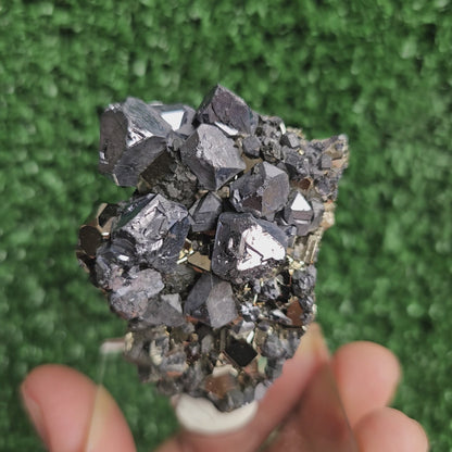 crystallized galena with Pyrite octahedral