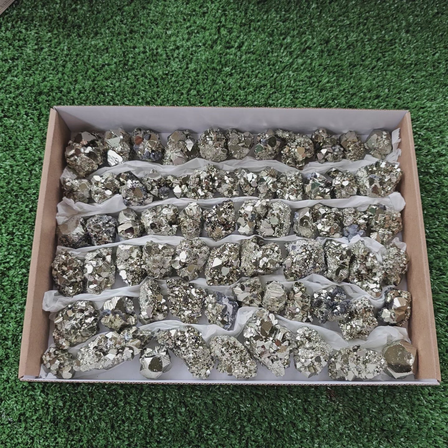 Load video: Box 67 pcs pyrite octahedral
