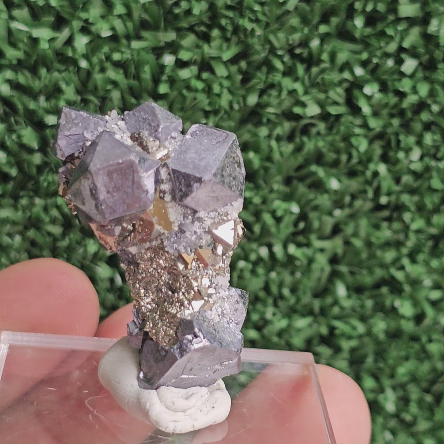 Load video: Galena with Pyrite octahedral