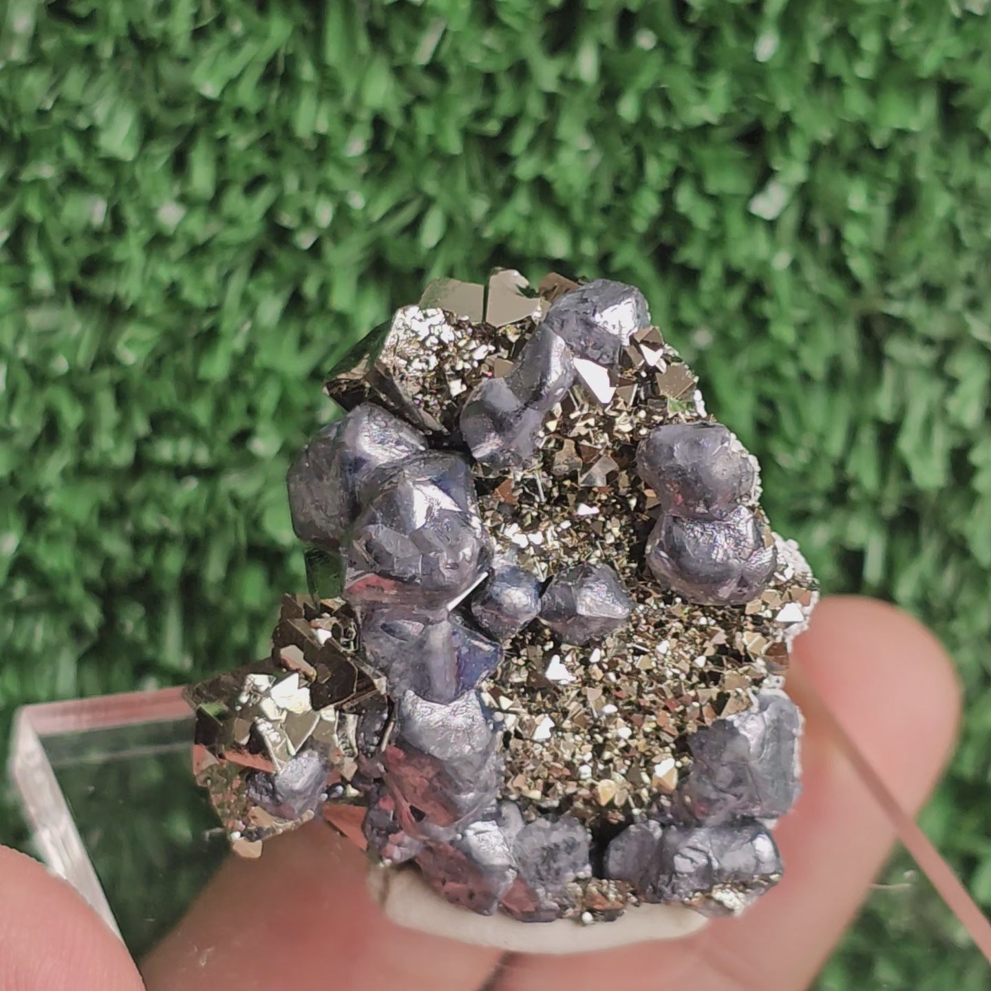 Load video: crystallized galena with Pyrite octahedral