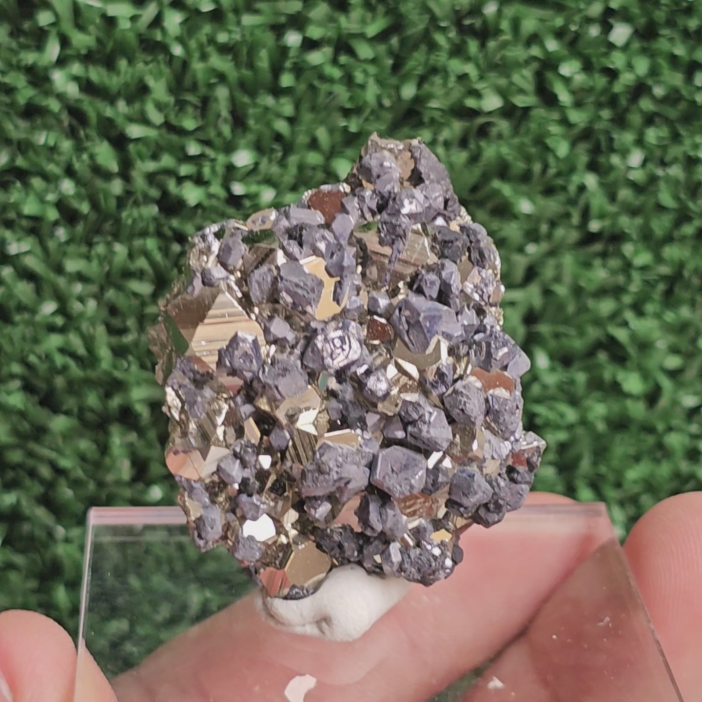 Load video: Galena with Pyrite octahedral