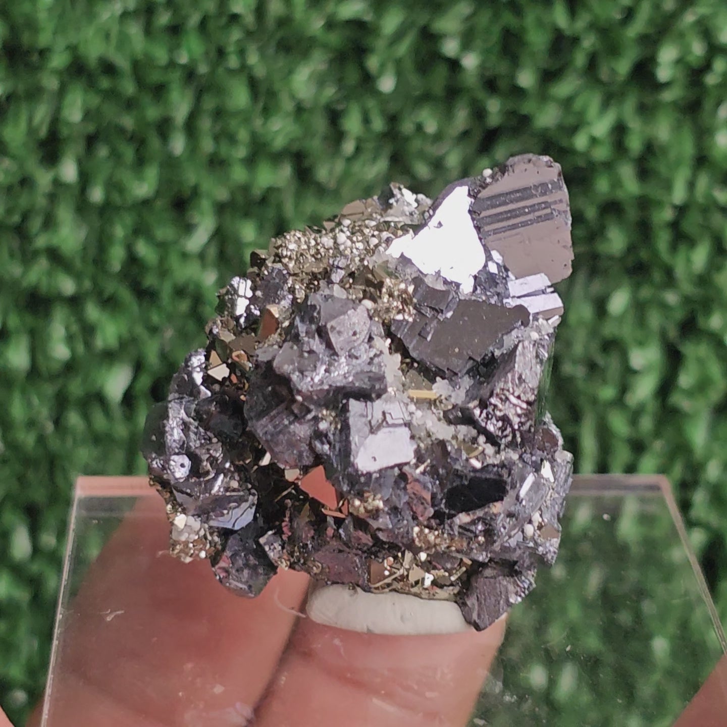 Load video: Galena with Pyrite octahedral