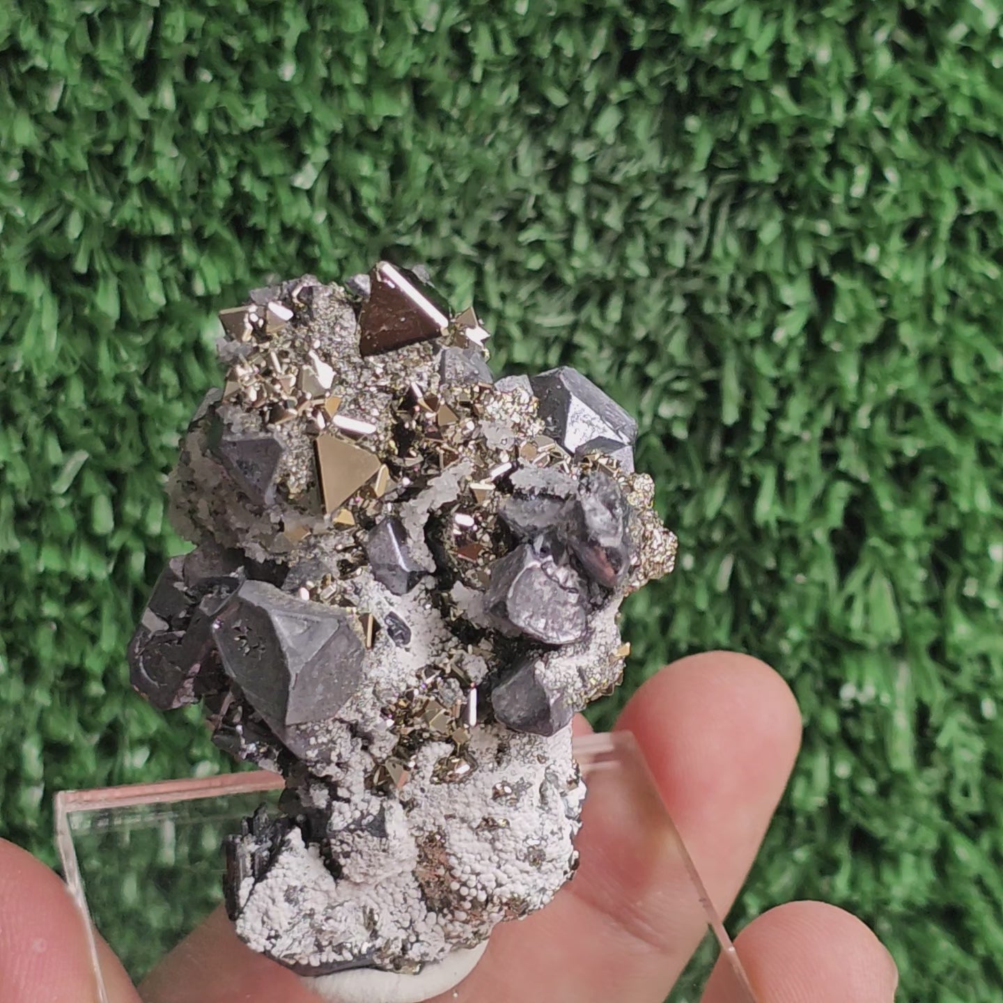 Load video: crystallized galena with Pyrite octahedral
