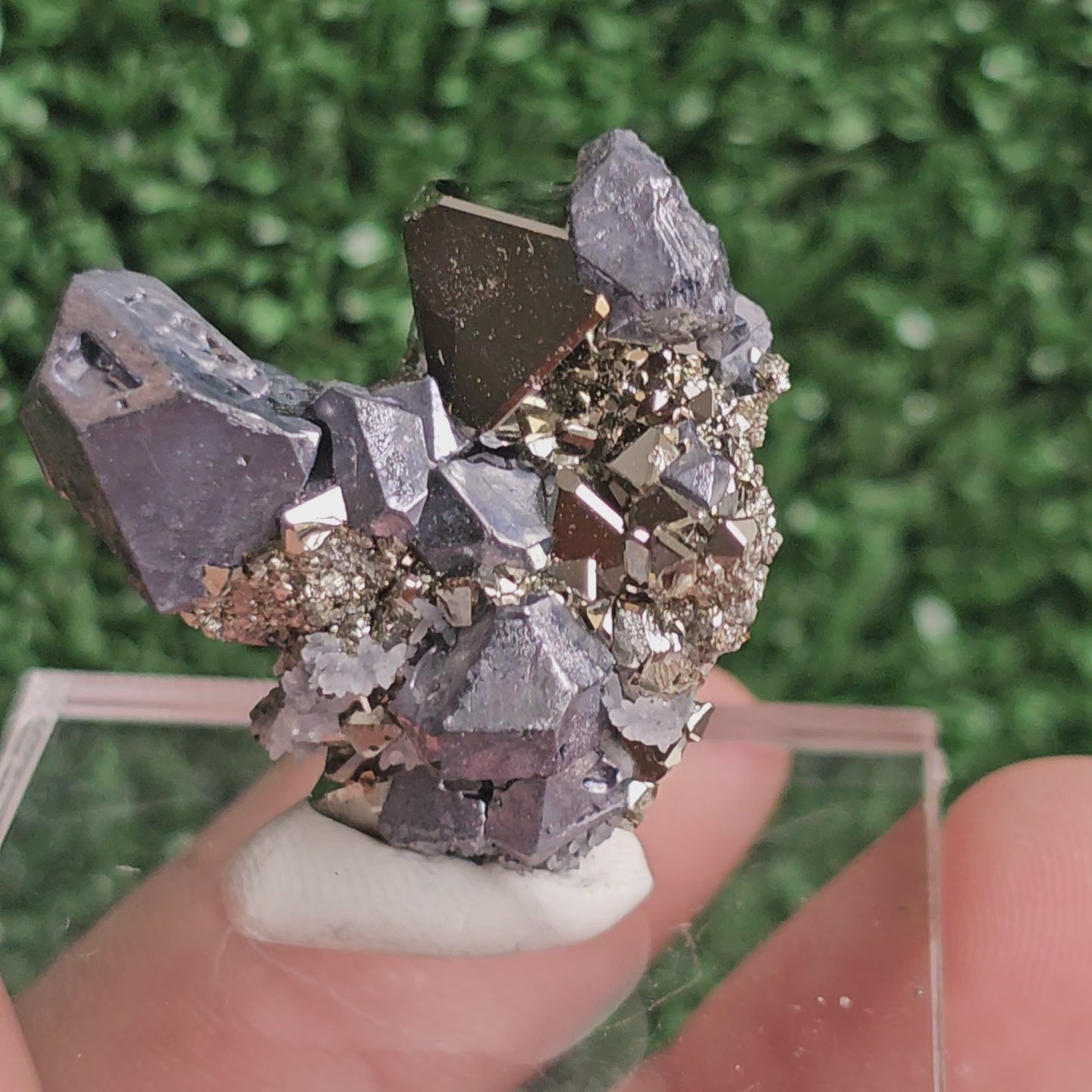 Load video: Galena with Pyrite octahedral