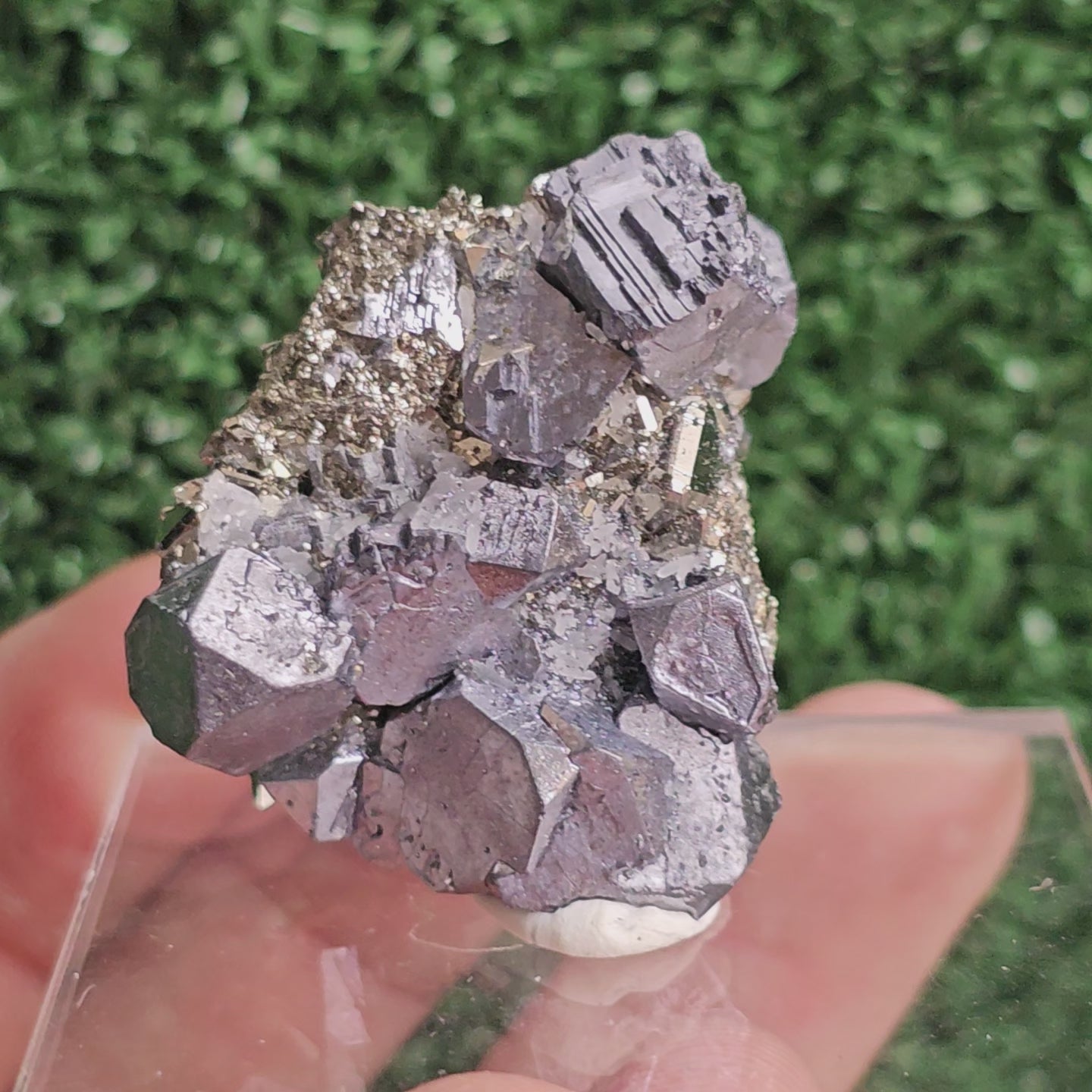 Load video: Galena with Pyrite octahedral
