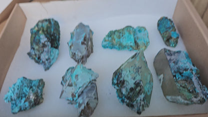 Lot 8 Chrysocolla Quartz Rough