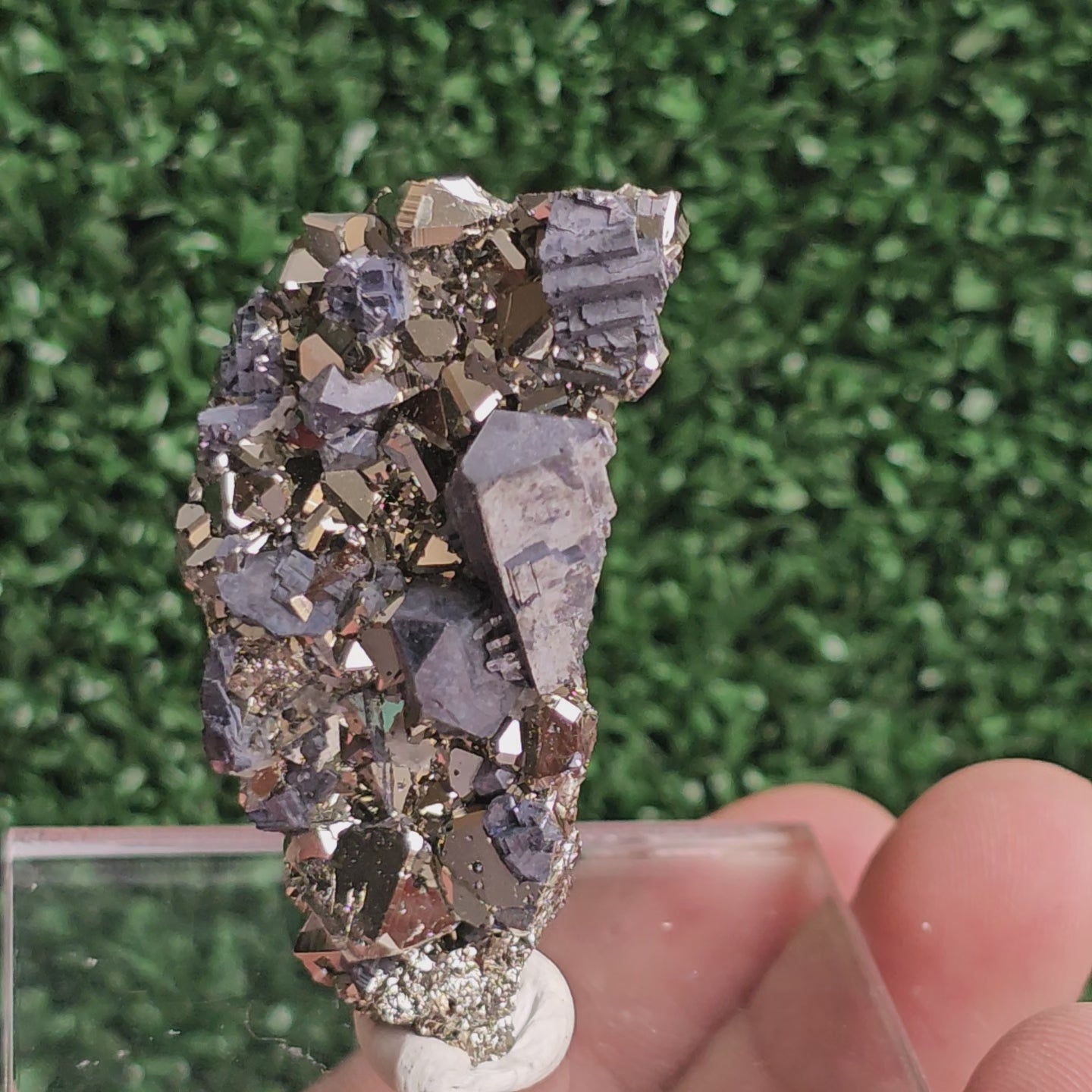 Load video: Galena with Pyrite octahedral
